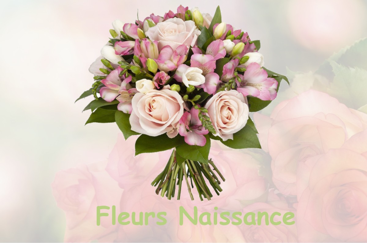 fleurs naissance MONTBARROIS